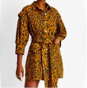 Leopard Print Button-Up Dress